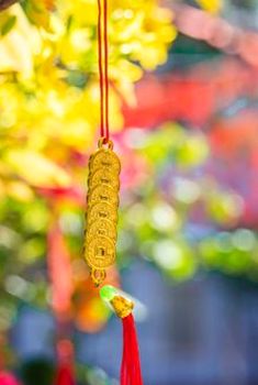 rút tiền Sodo